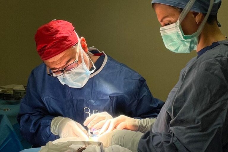 Rejeneratif yüz cerrahisi kursu: ameliyathanede Prof. Dr. Tunç Tiryaki